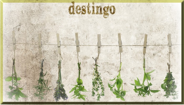 Destingo - Contemporary Italian Kitchen - Display Ad